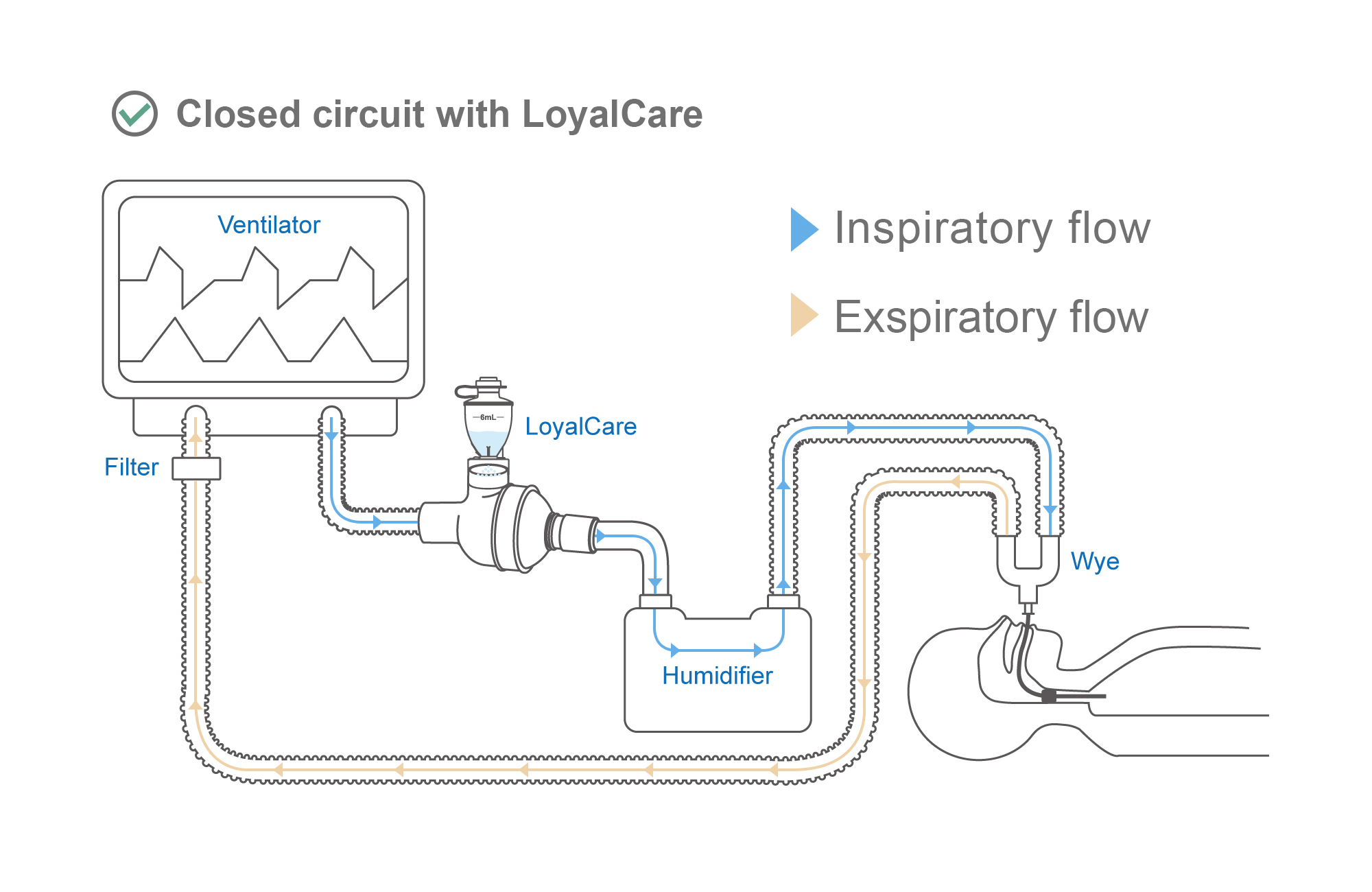 LoyalCare Airflow Animation