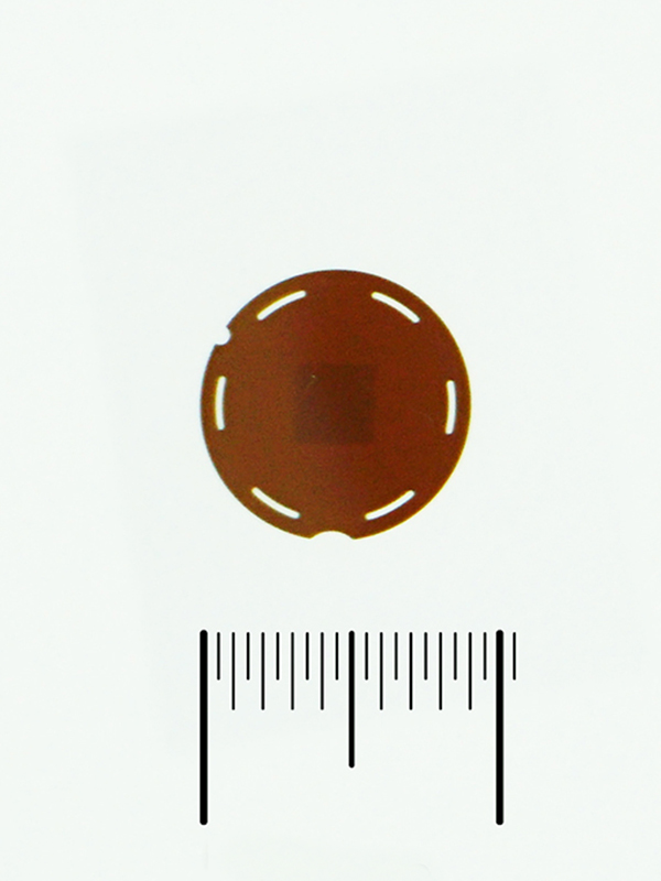 9mm Sample