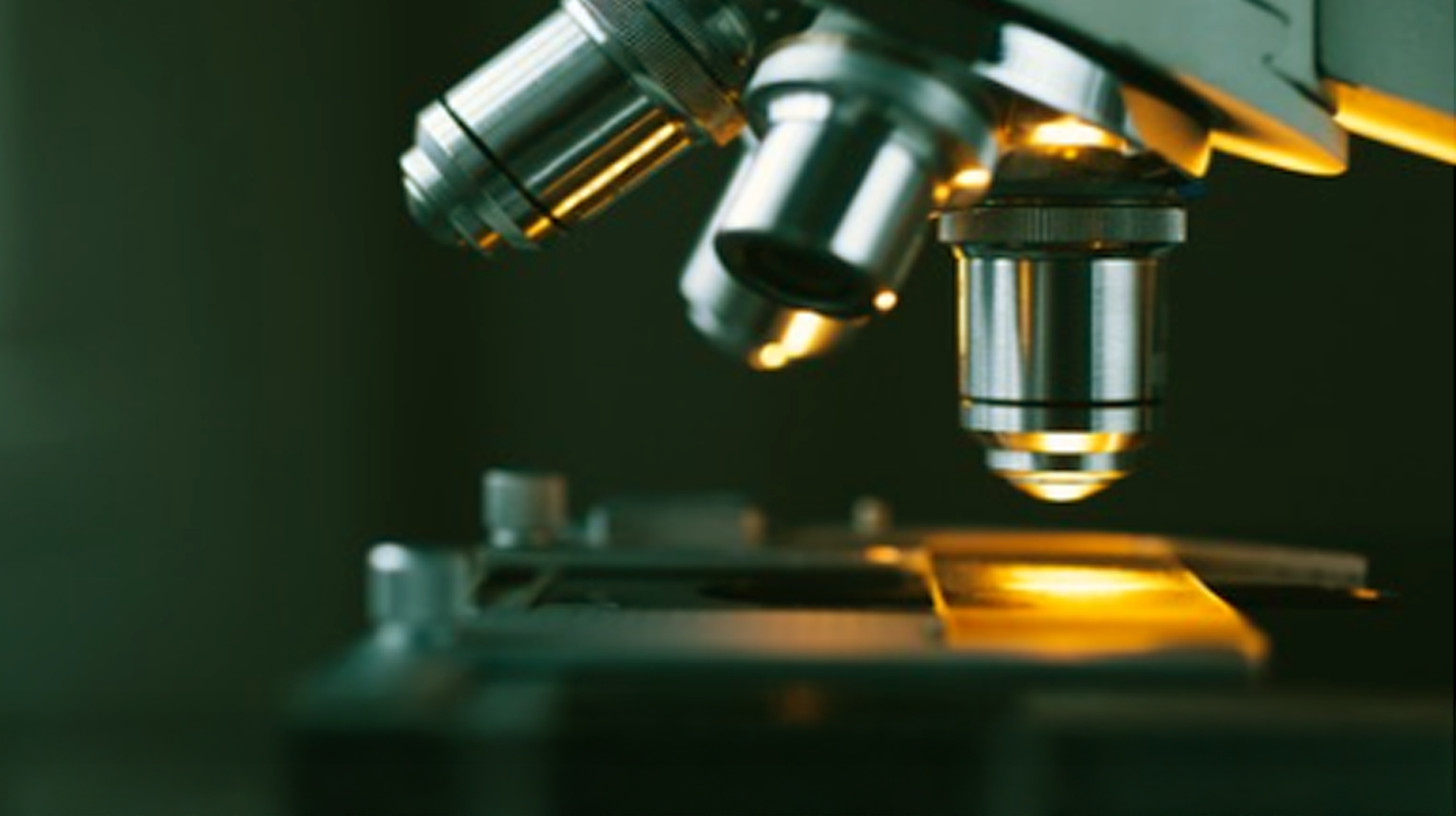 全球認證與實驗室能力