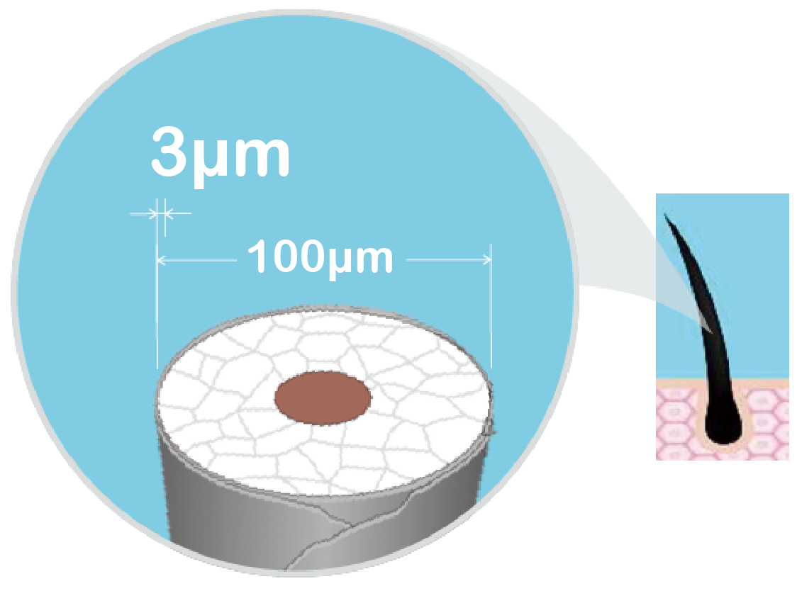 3微米對比示意圖